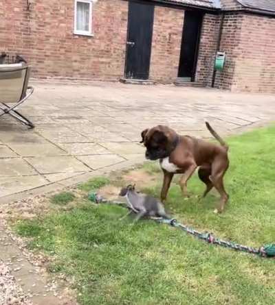 I&rsquo;ve made a terrible mistake!