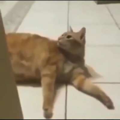 Maaaaa