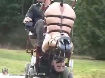 They see me rollin'