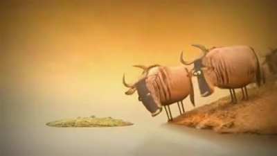stupid cows