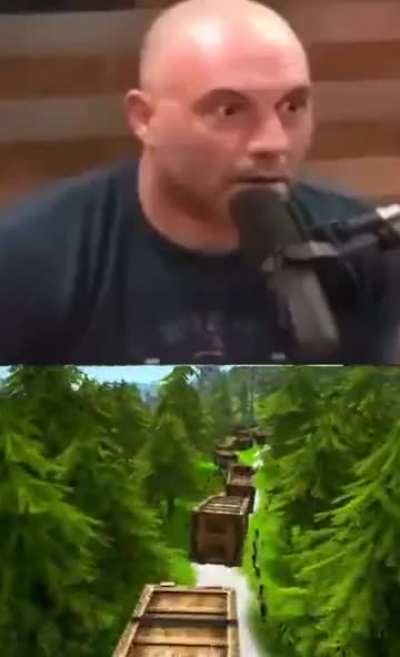 DMT