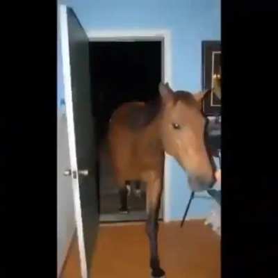 hey