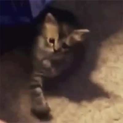 No u