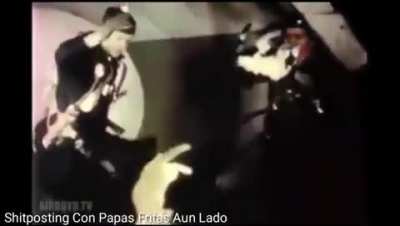 Gatos en Gravedad 0