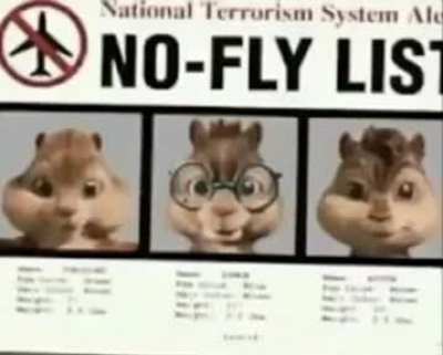The terror