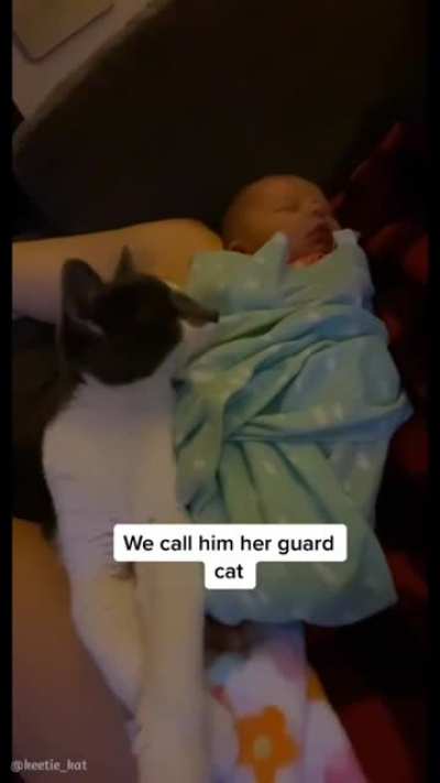 kitty knew his person was on her way 💞