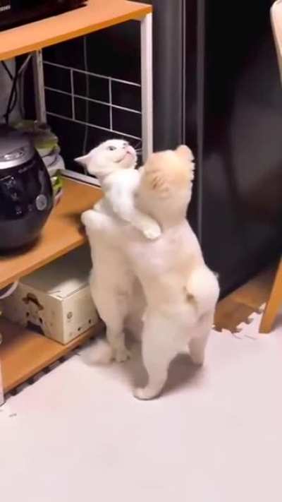 Awkward hugs