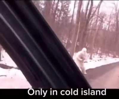 Only in cold island