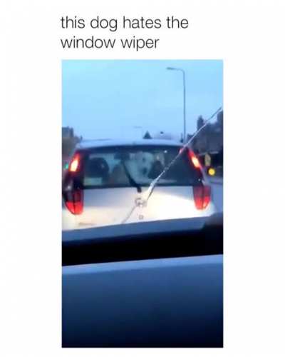It&rsquo;s like chasing your tail on the go