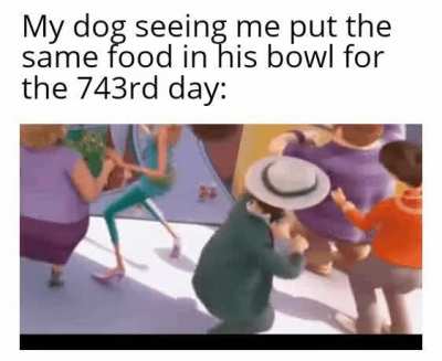 We dont deserve dogs