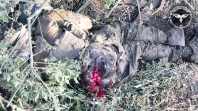 [Graphic] Russian soldier freezes up, then gets hit with an FPV drone which leaves a large gaping wound 