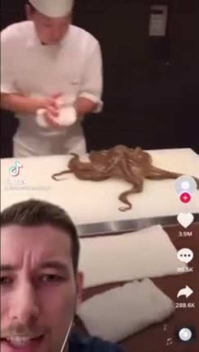 Is that a squid? Or a bagel (I&rsquo;m bad with titles)