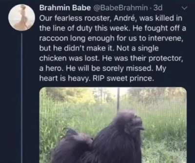 Rest In Peace Andr&eacute;