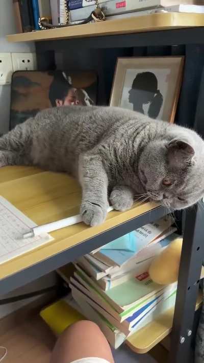 Maybe Maybe Maybe