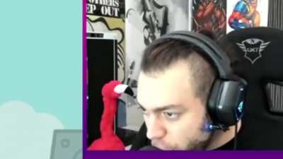 wtf zellen