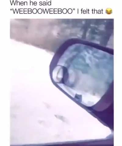 WeebooWeeboo