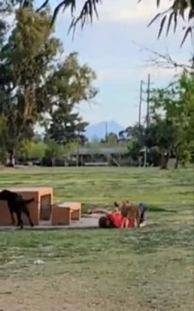 Don't walk dogs that are stronger than you