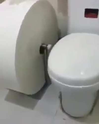 moldy toilet paper