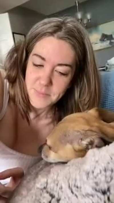 epic dog