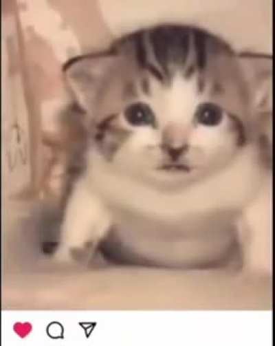 No 😢
