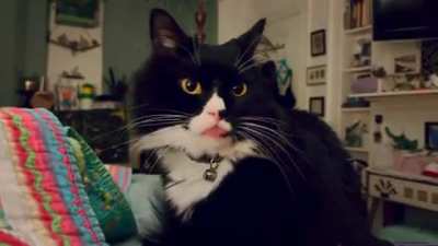 2022: my weird cat 4 u&hellip; communicating with the mothership