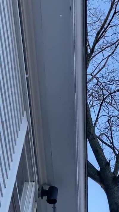 Just moved into my new apartment&hellip;Realized there are no gutters or anything so the water drips onto my steps making it super slippery all the time&hellip;