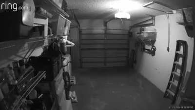 My dad sent me this from his ring doorbell this morning. There aren&rsquo;t any lights in the garage except a small green LED on the garage door opener. Thought y&rsquo;all would get a kick out of this!