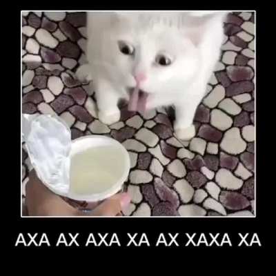 rule 2