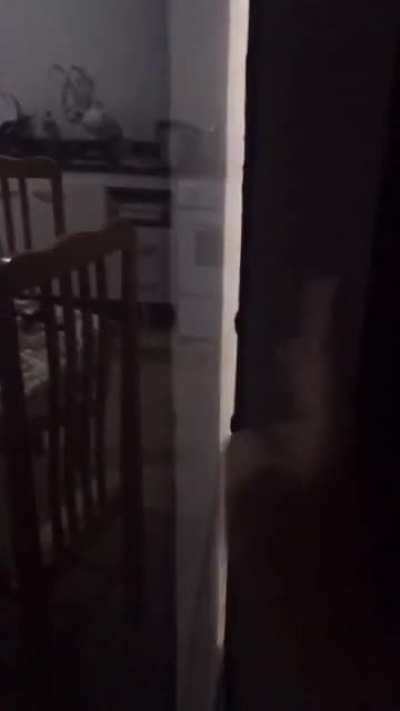 kkkk