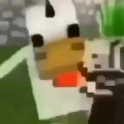 Chicken fight