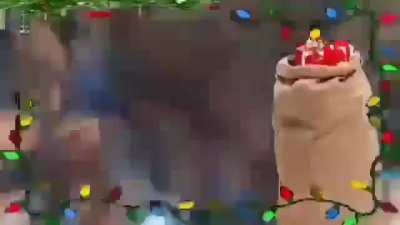 It's Christmas!