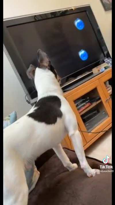 &ldquo;He was loving his sensory videos until the blueberries came on&rdquo; - @ jessicabaucke0 on tiktok