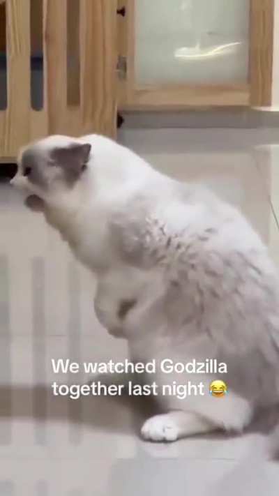 Cute kitty is the prince of the monsters