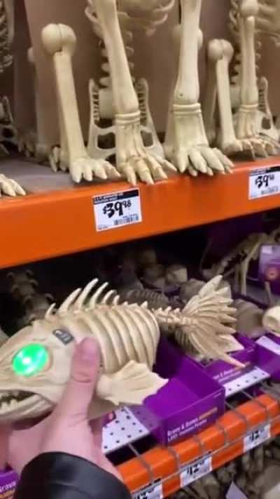 💀⚰️