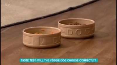 That dog missed that meat so much.