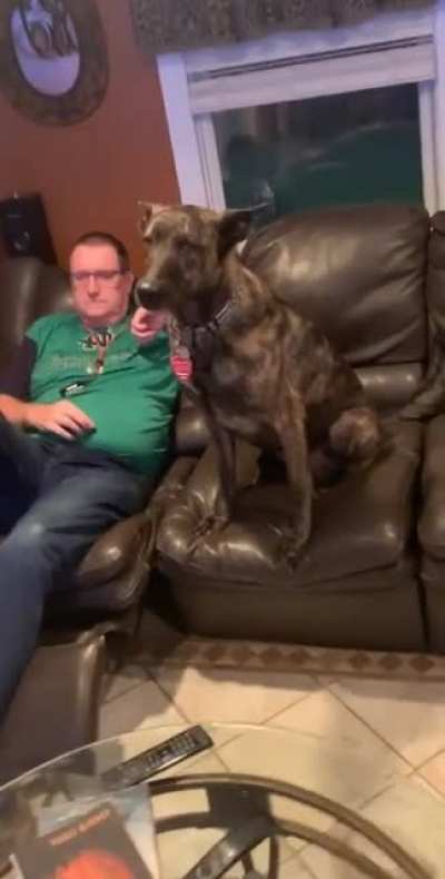 Trying to sit with the dog