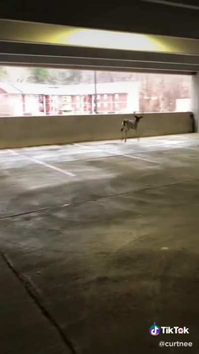Didn&rsquo;t quite stick the landing