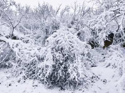 Chilly snow.