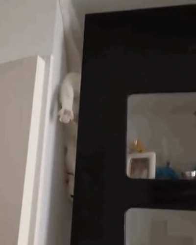 He skilfully slipped out of there