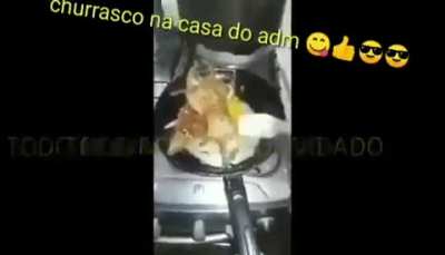 O mestre isplinter morreu .&radic;.