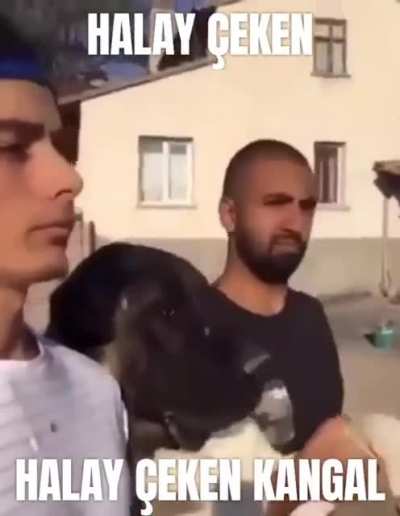 HALAY &Ccedil;EKEN KANGAL