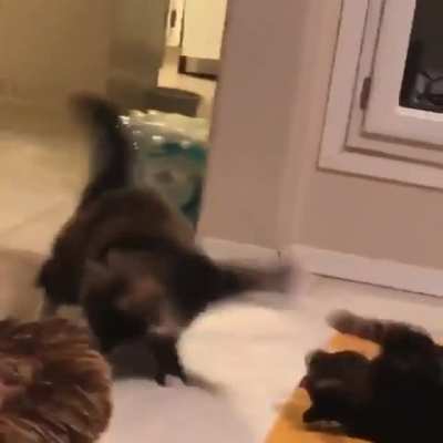 Кия!
