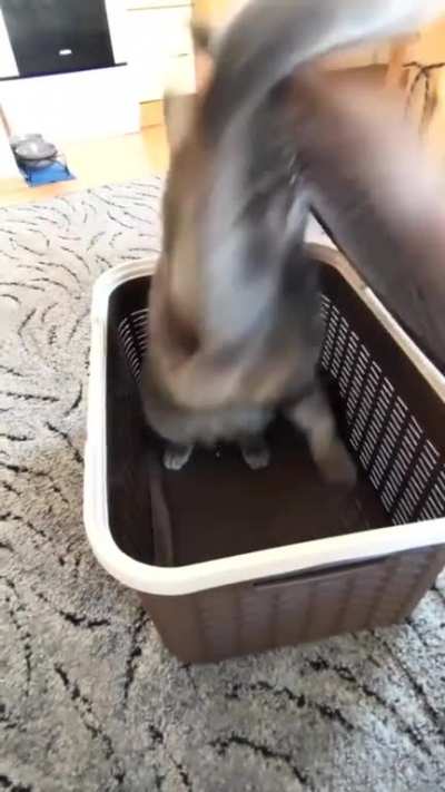 Shut .. Off