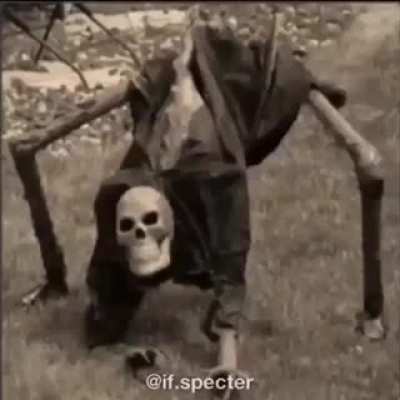 You've just been Boned