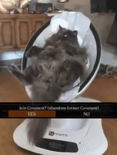 10/10 Would join