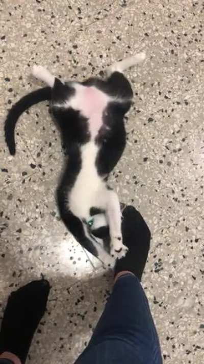 "Pepper, what are you doing?"