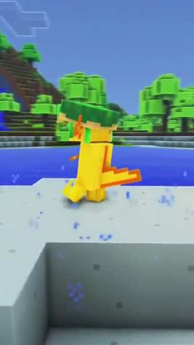 I like turtles
