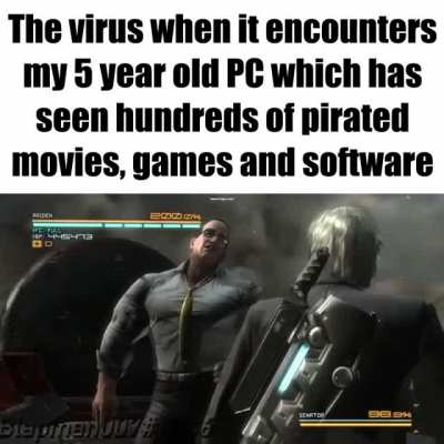 Nanoviruses, son.
