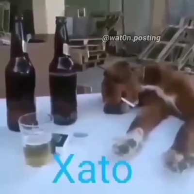 Yo despues de 12 días sin stream😪