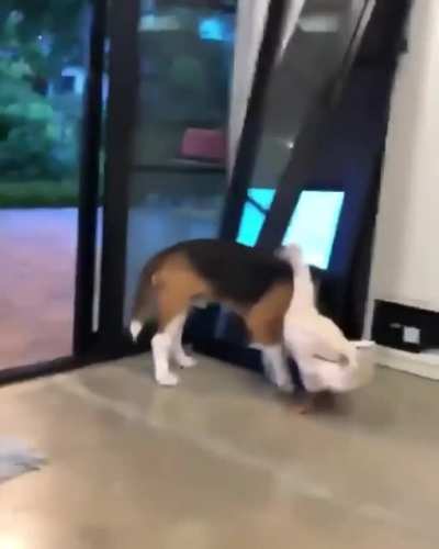 Aww...